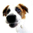 Emiloose's Avatar